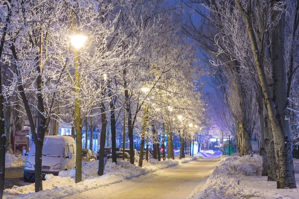 Parco urbano invernale decorato a Donetsk. Ucraina — Foto Stock