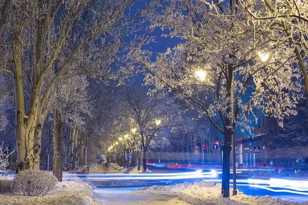 Zdobené zimní městský park v Doněcku. Ukrajina — Stock fotografie