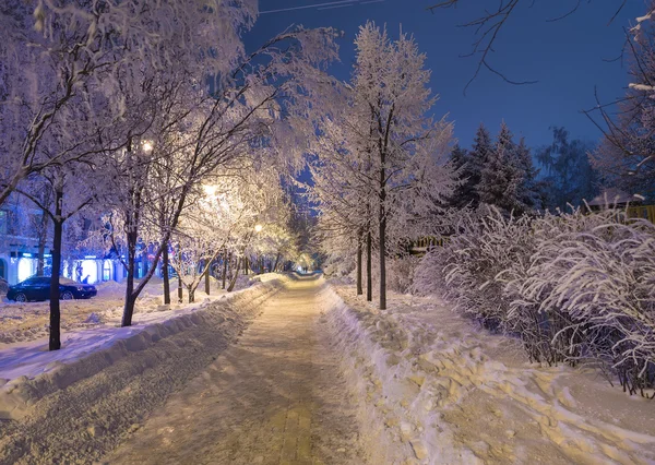 Parque da cidade de inverno decorado em Donetsk. Ucrânia — Fotografia de Stock