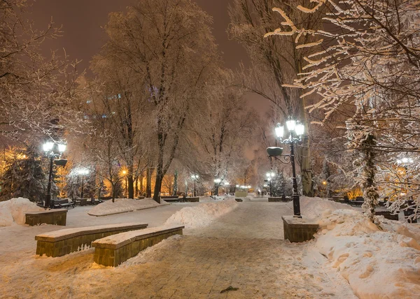 Díszített téli Városliget között Donyeckben. Ukrajna — Stock Fotó