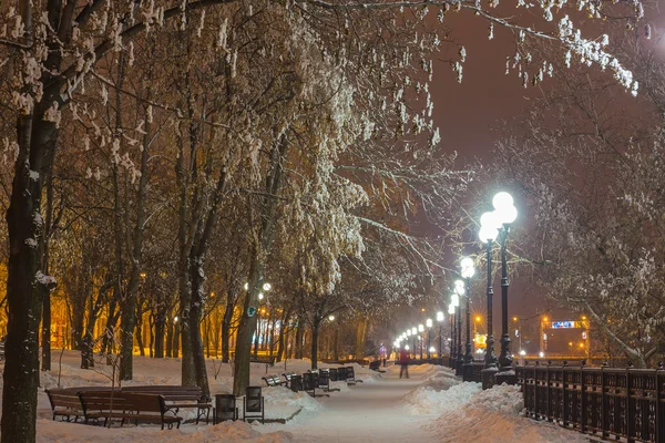 Ingericht winter stadspark in Donetsk. Oekraïne — Stockfoto