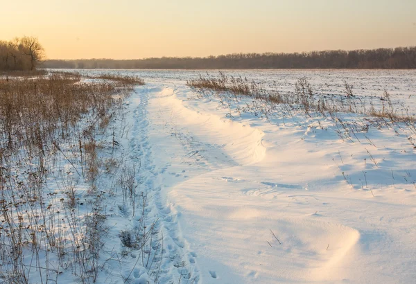 冬の風景美の屋外写真 — ストック写真