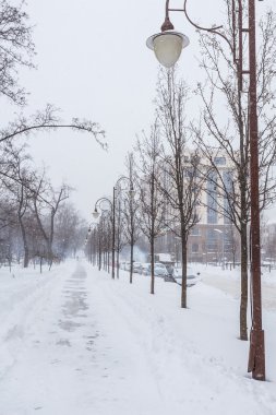 Kış beyaz karla kaplı park