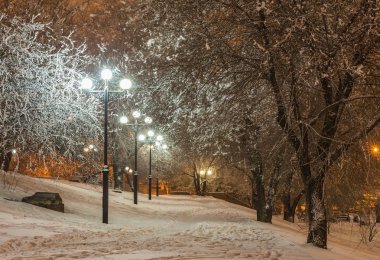 Kış city park Donetsk dekore edilmiştir. Ukrayna