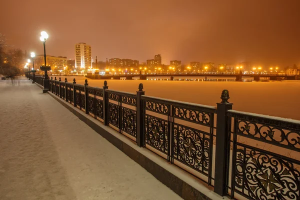 Strandpromenaden i Donetsk stad på en vinter. — Stockfoto