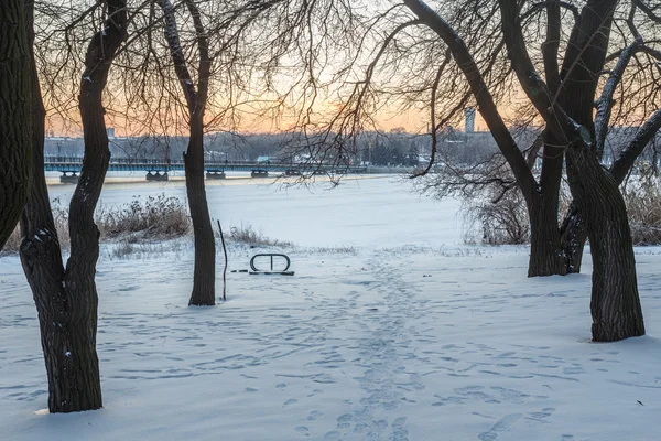 白い雪で覆われた冬の公園 — ストック写真