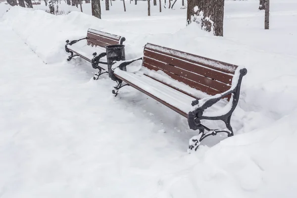 겨울 도시 공원 벤치 — 스톡 사진