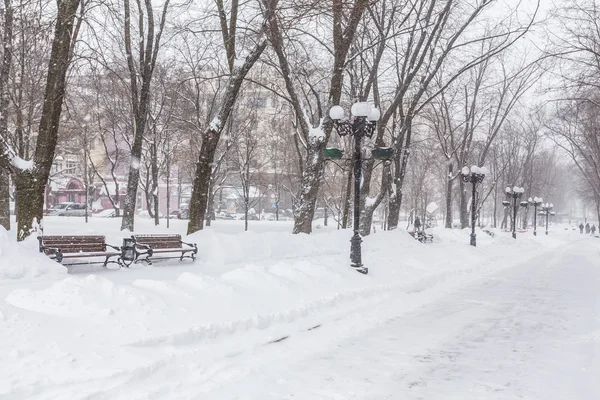 Зимний парк покрыт белым снегом. Донецк. Украина . — стоковое фото