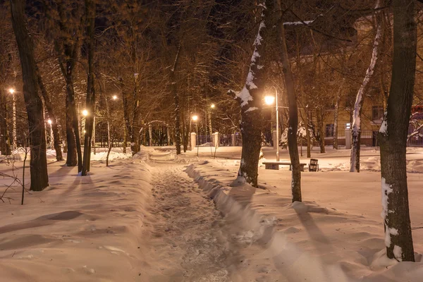 Parco urbano invernale decorato a Donetsk. Ucraina — Foto Stock