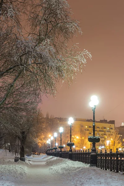 Vinterpark på kvällen täckt med snö — Stockfoto