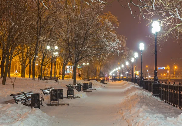 Ingericht winter stadspark in Donetsk. Oekraïne — Stockfoto