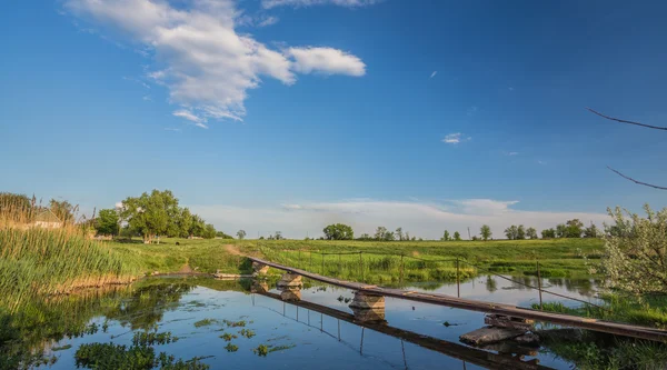 Paisagem verão — Fotografia de Stock