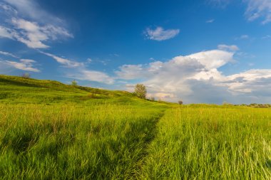Gökyüzünün arkaplanındaki alan