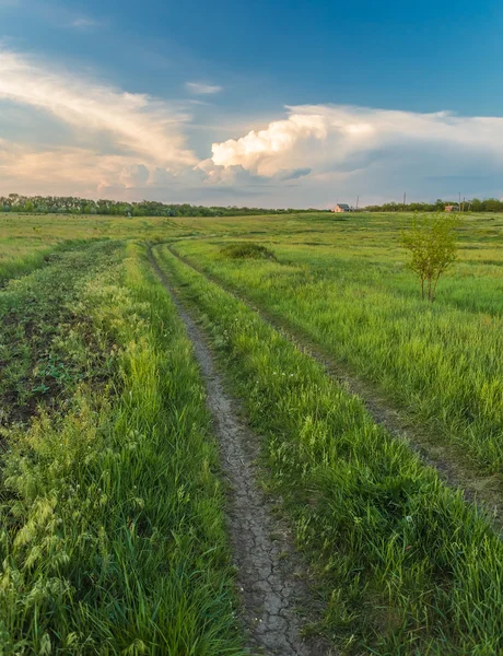 Yatay yaz yeşil çimen ve yol — Stok fotoğraf