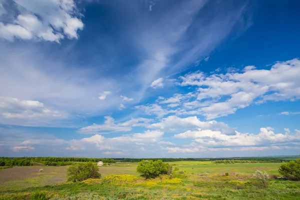 Field on a background of the sky — Stock Photo, Image