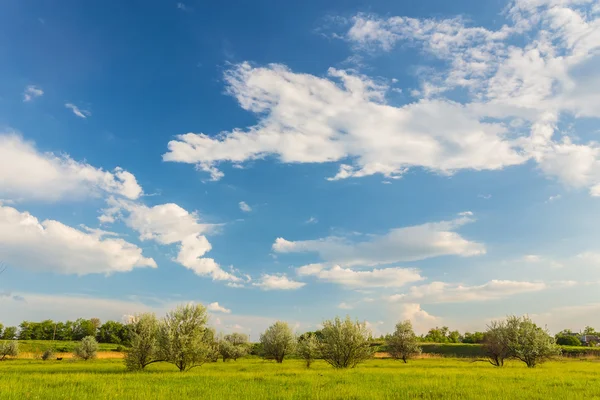 Fält på en bakgrund av himlen — Stockfoto