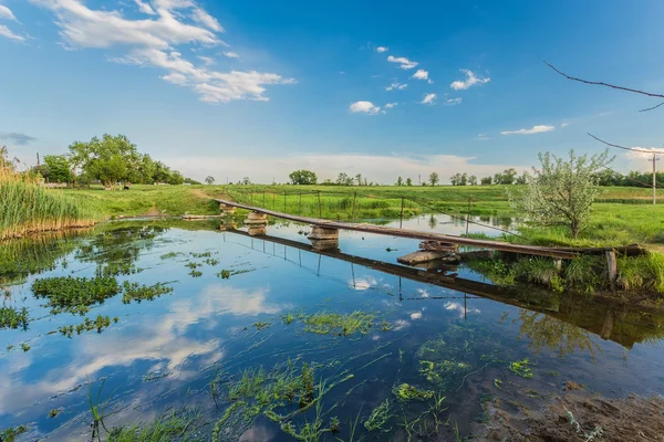 Letní krajina — Stock fotografie