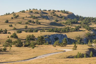 dağ Yaylası Ai-Petri Crimea'da yolda