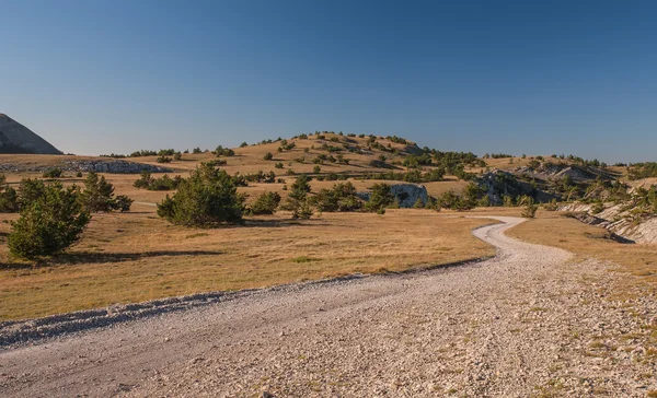 Camino en la meseta montañosa Ai-Petri en la Crimea —  Fotos de Stock