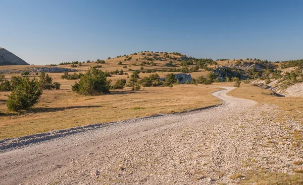 Camino en la meseta montañosa Ai-Petri en la Crimea —  Fotos de Stock