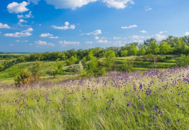 Gökyüzünün arkaplanındaki alan