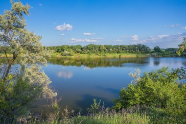 Bir göl ile sakin güzel kırsal manzara 