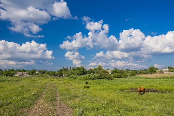 Летний пейзаж с зеленой травой и дорогой — стоковое фото