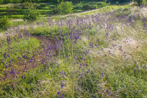 Pole na tle nieba — Zdjęcie stockowe