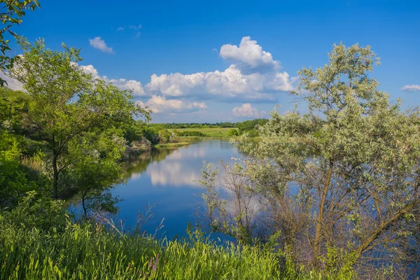 Acalme-se bela paisagem rural com um lago — Fotografia de Stock