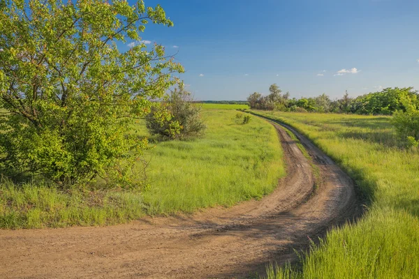 Paesaggio estivo con erba verde e strada — Foto Stock