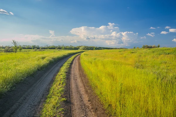 Paysage estival avec herbe verte et route — Photo