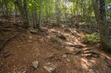 Dondurma külahı iki kepçe 