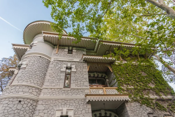 Edifício histórico coberto com hera verde — Fotografia de Stock