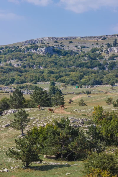 Krim observatorium op het plateau — Stockfoto