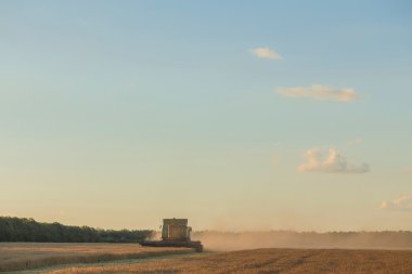 birleştirme alanını hasat 