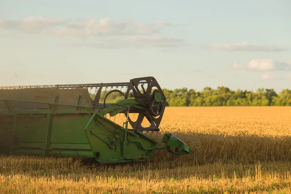 birleştirme alanını hasat 