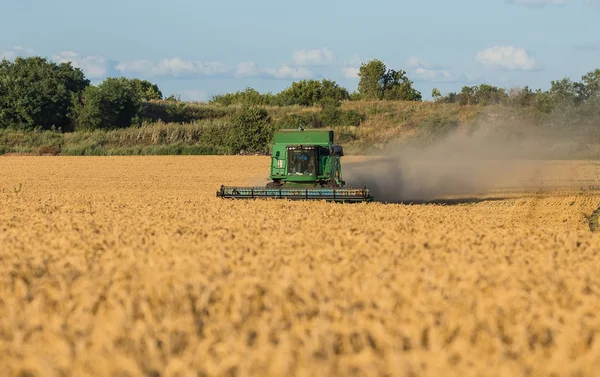 Harvesting combine in the field — Stock Photo, Image