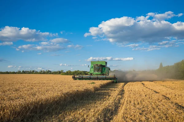 Harvesting combine in the field — Stock Photo, Image