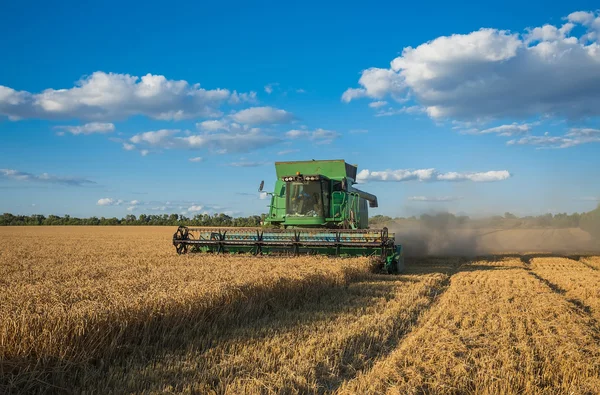Harvesting combine in the field — Stock Photo, Image