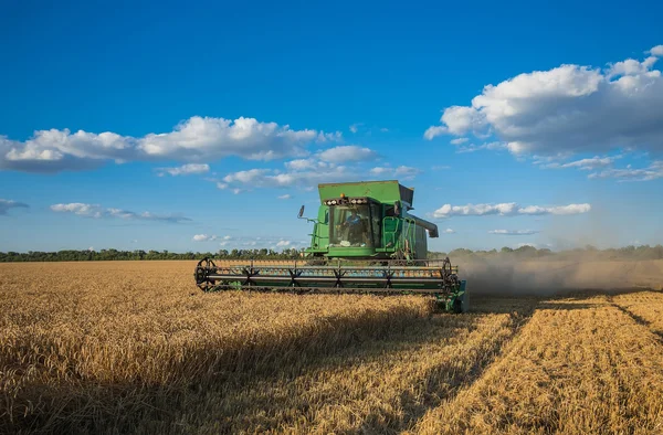 Harvesting combine in the field — Stock Photo, Image