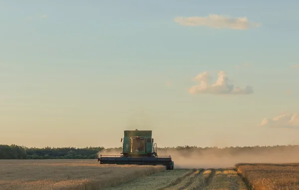 Harvesting combine in the field — Stock Photo, Image