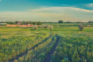 yatay yaz yeşil çimen ve yol