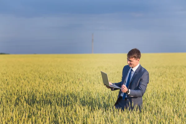 Empresario en un campo de trigo —  Fotos de Stock