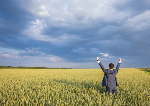 Happy businessman standing on the field — Stock Photo, Image