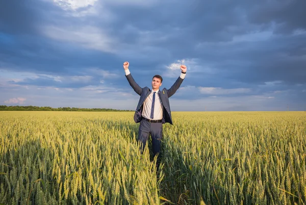 Lycklig bonde, affärsman, står i vete fält med händerna och tummen upp — Stockfoto