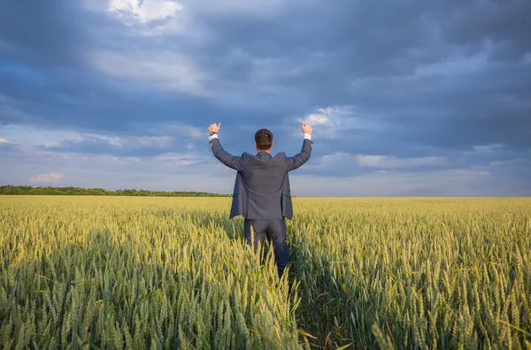 Agricultor feliz, hombre de negocios, de pie en el campo de trigo con las manos y los pulgares hacia arriba — Foto de Stock