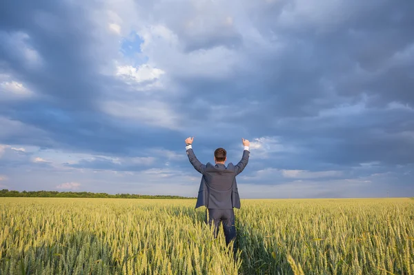 Счастливый фермер, бизнесмен, стоя на пшеничном поле с поднятыми руками и большими пальцами — стоковое фото