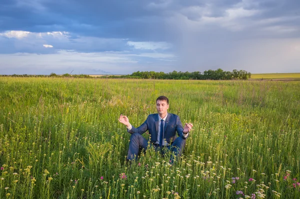 Podnikatel pracuje v přírodě. — Stock fotografie