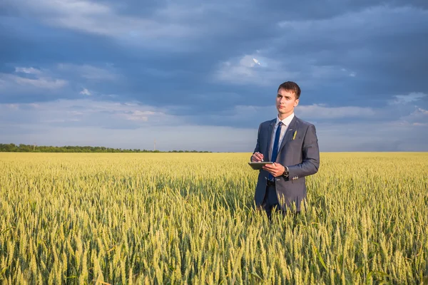 Zakenman op een tarweveld — Stockfoto