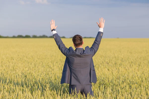 Happy affärsman står på fältet — Stockfoto